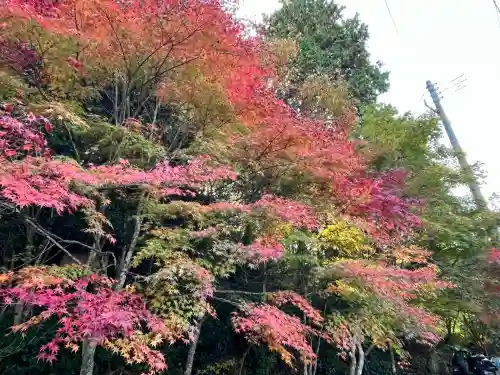 十王寺(滋賀県)