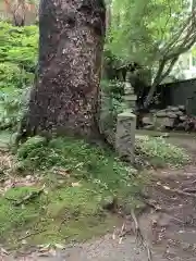 尾州内津妙見寺の建物その他