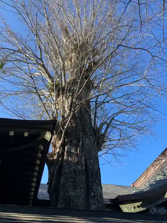 麻賀多神社(千葉県)