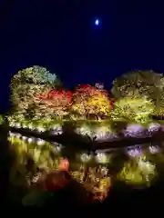 東寺（教王護国寺）(京都府)