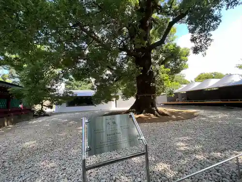 上野東照宮(東京都)