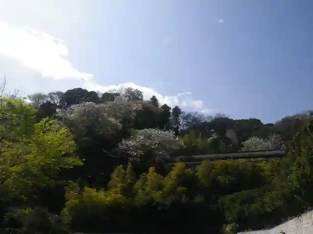 長谷寺のその他建物