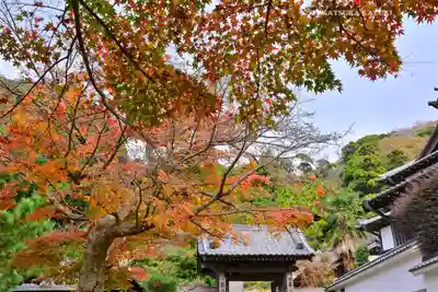 円覚寺(神奈川県)