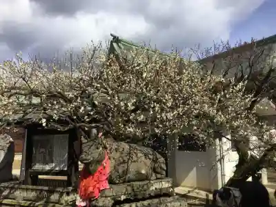 北野天満宮(京都府)