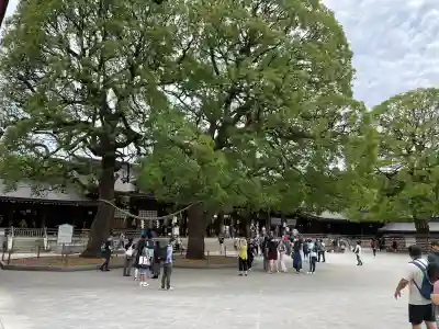 明治神宮(東京都)