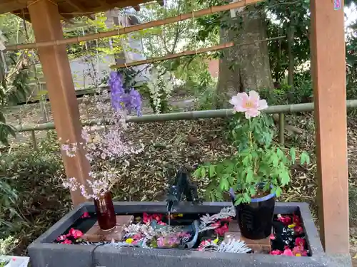 下野 星宮神社(栃木県)