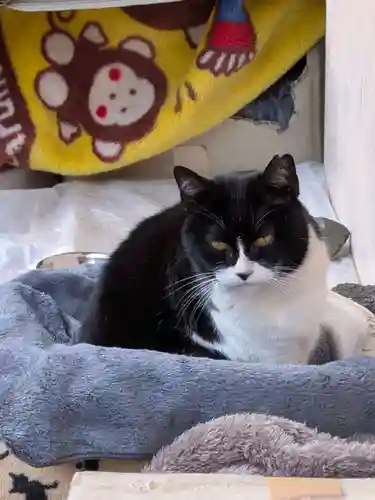 白金氷川神社(東京都)