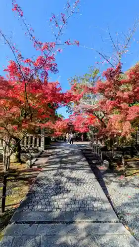 光明寺（粟生光明寺）(京都府)