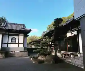 信行寺の本殿・本堂(2020年11月04日(水) 08時35分58秒投稿)