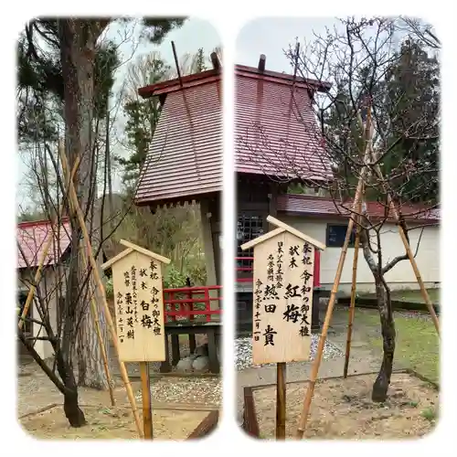 仁木神社の庭園