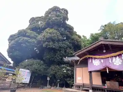 九重神社(埼玉県)