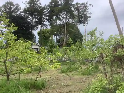五里神社の自然