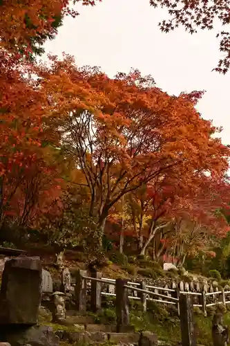 金剛寺(高知県)