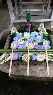 藤森神社の手水舎