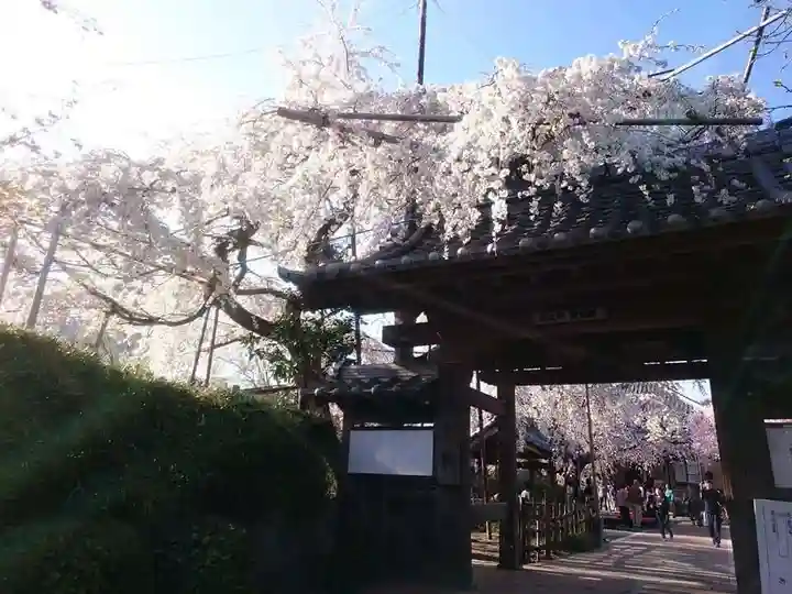 源空院(浅井寺)の山門・神門