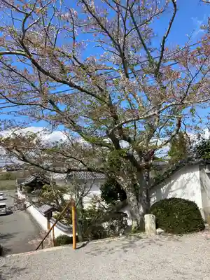 宝持院のその他建物