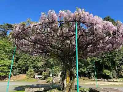 木舟山　順教寺(広島県)