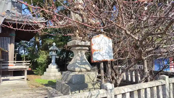 中津神社(大分県)