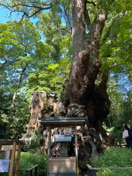 來宮神社(静岡県)
