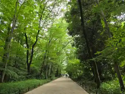 賀茂御祖神社（下鴨神社）(京都府)