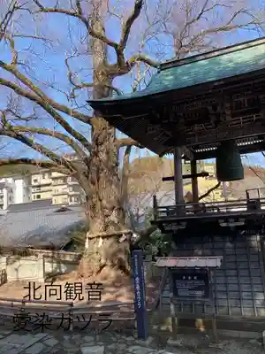 北向観音(長野県)