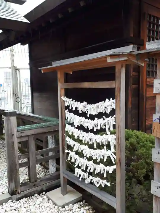 藤崎えびす神社のおみくじ