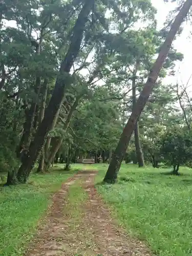 天橋立神社の自然