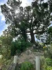 森戸大明神（森戸神社）(神奈川県)