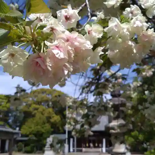 日吉神社(愛知県)