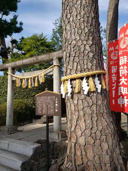 中野沼袋氷川神社(東京都)