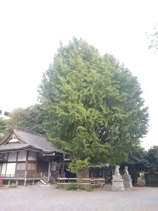 印内八坂神社(千葉県)
