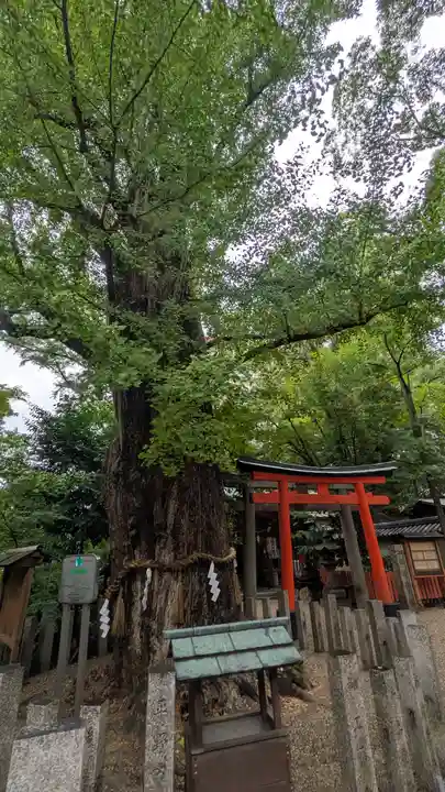 杭全神社(大阪府)