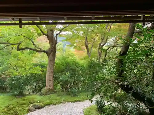 光明寺瑠璃光院の庭園