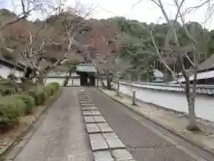 金剛寺の建物その他