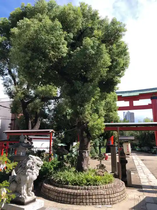 尼崎えびす神社の自然