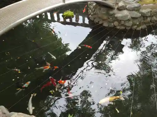 鈴鹿明神社(神奈川県)