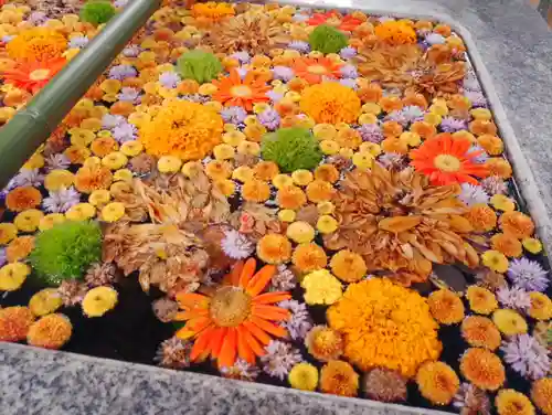 高円寺氷川神社(東京都)