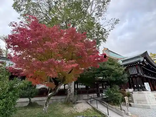 橿原神宮(奈良県)