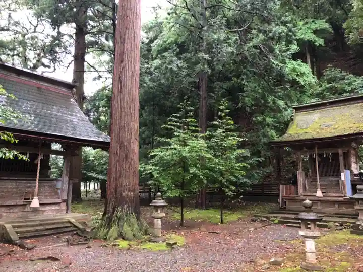 若狭姫神社(若狭彦神社下社)の末社・摂社