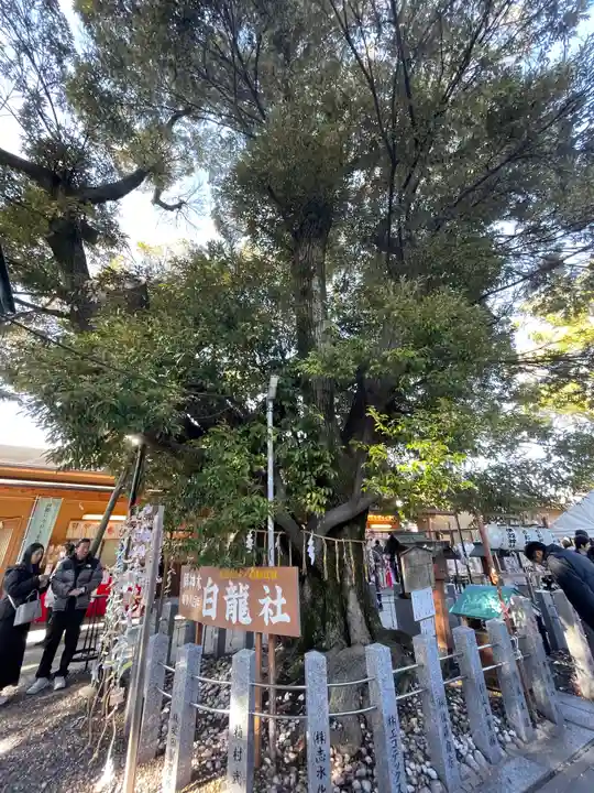伊奴神社(愛知県)