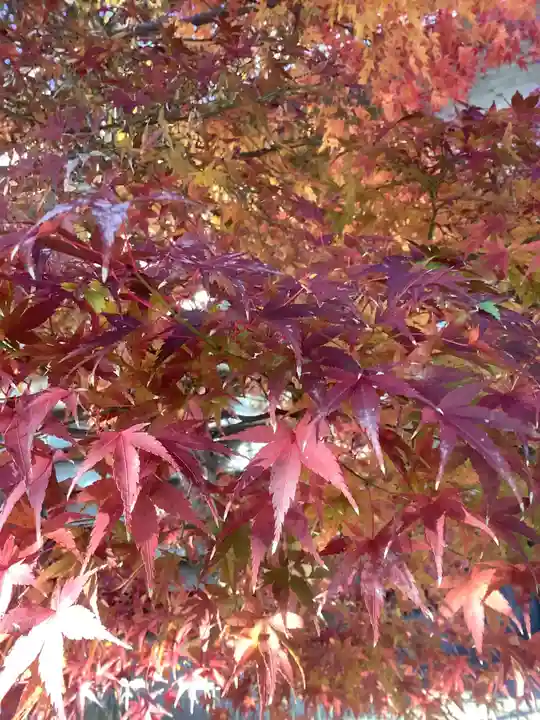 全久寺(愛知県)