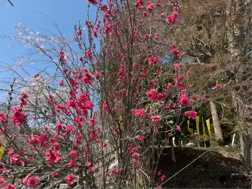 聖神社(埼玉県)