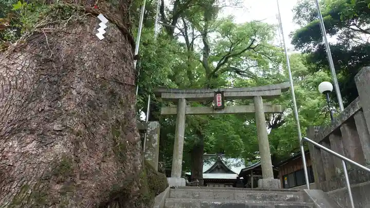 今宮神社の鳥居