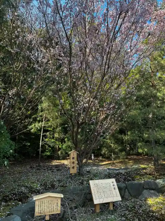 寒川神社の{uncategorized: "未分類", other: "その他", undefined: "問題あり", building: "その他建物", grave: "お墓", sacred_gate: "鳥居", guardian: "狛犬", statue: "像", buddha: "仏像", history: "歴史", nature: "自然", garden: "庭園", animal: "動物", pagoda: "塔", temizu: "手水舎", mountain_gate: "山門・神門", sanctuary: "本殿・本堂", subordinate: "末社・摂社", art: "芸術", scenery: "景色", jizo: "地蔵", ema: "絵馬", goshuin: "御朱印", omikuji: "おみくじ", items: "授与品その他", amulet: "お守り", goshuincho: "御朱印帳", eats: "食事", festival: "お祭り", votive_dance: "神楽", shichigosan: "七五三参", wedding: "結婚式", experience: "体験その他", initially: "初詣", around: "周辺", anti_infection: "感染症対策"}