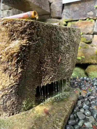 総持院（總持院）(兵庫県)