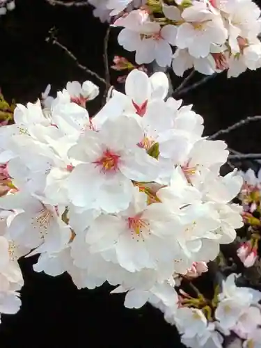 下高井戸八幡神社(東京都)