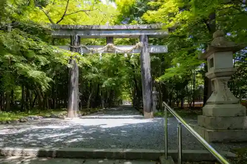 大原野神社の鳥居