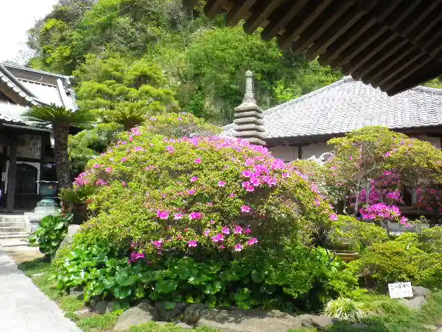 安養院 (田代寺)の庭園