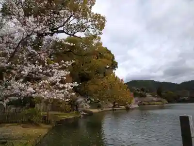 大覚寺(京都府)