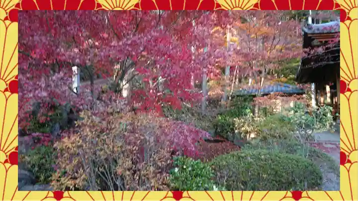 崇禅寺(群馬県)